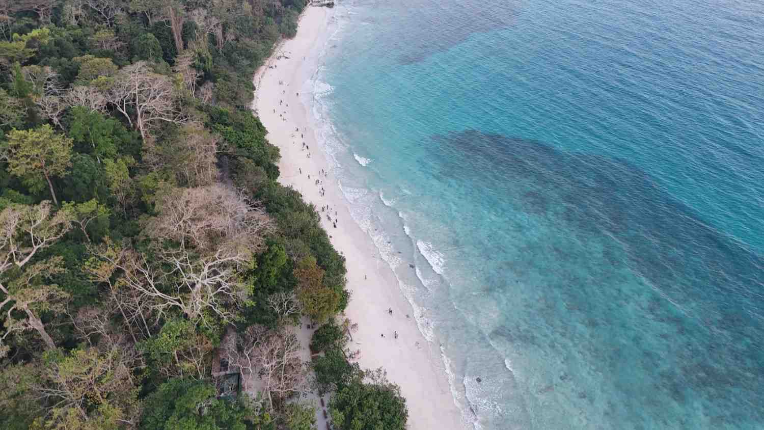 From Veer Savarkar Airport to Havelock: A Logistics Masterclass for 2026