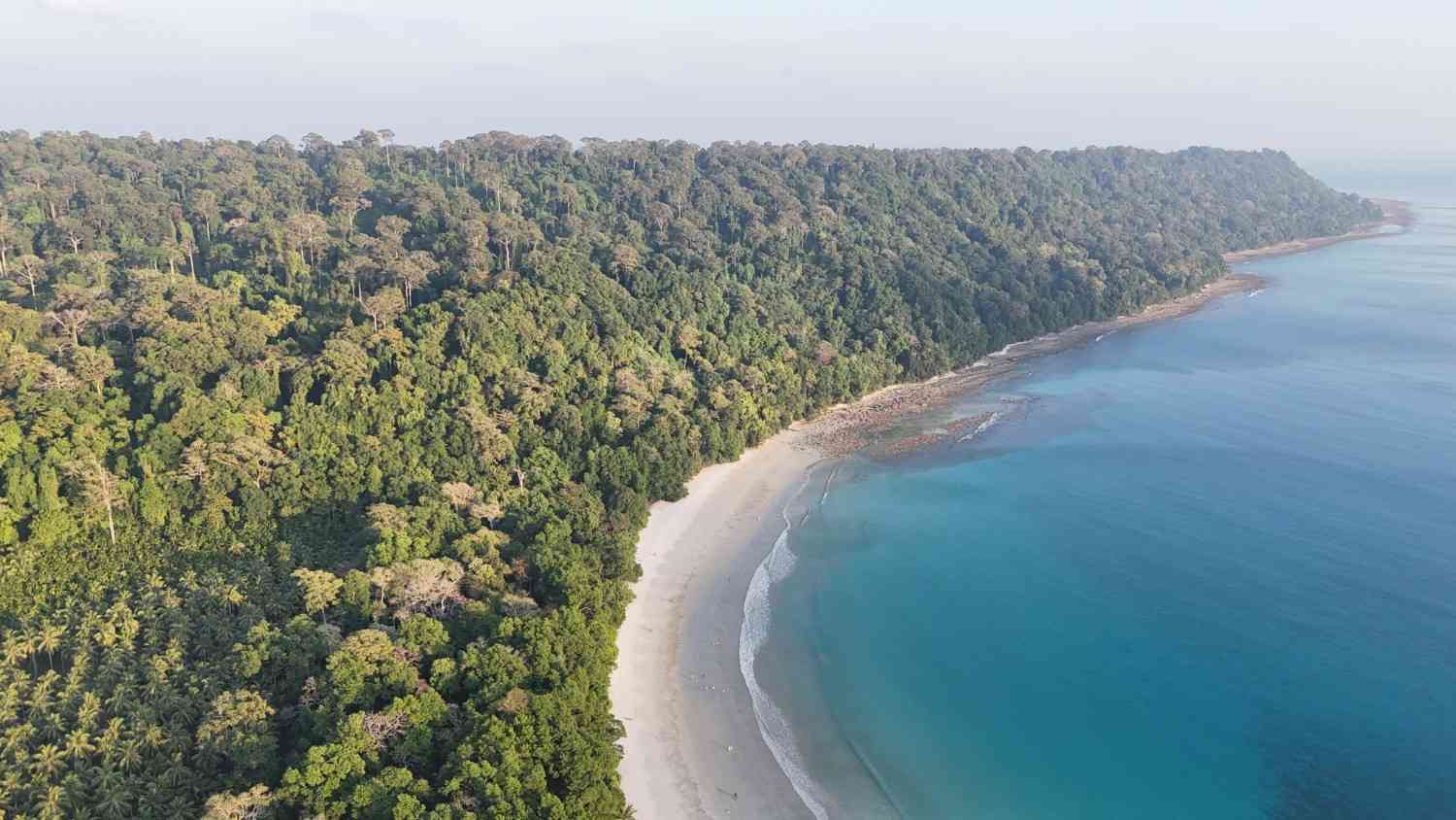 The Birdwatcher’s Guide to Andaman: Best Spots for Endemic Species in Chidiya Tapu & Beyond (2026)