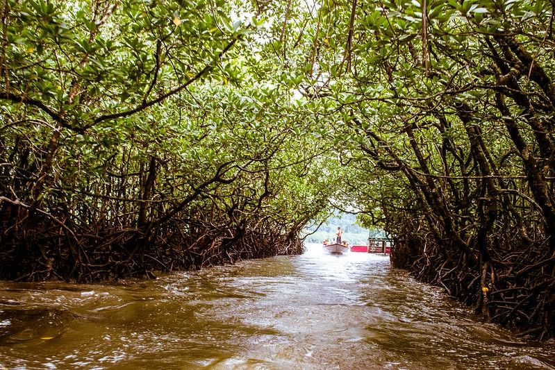 Andaman Luxury Tour Packages: A Guide to Indulgent Getaways (2025)