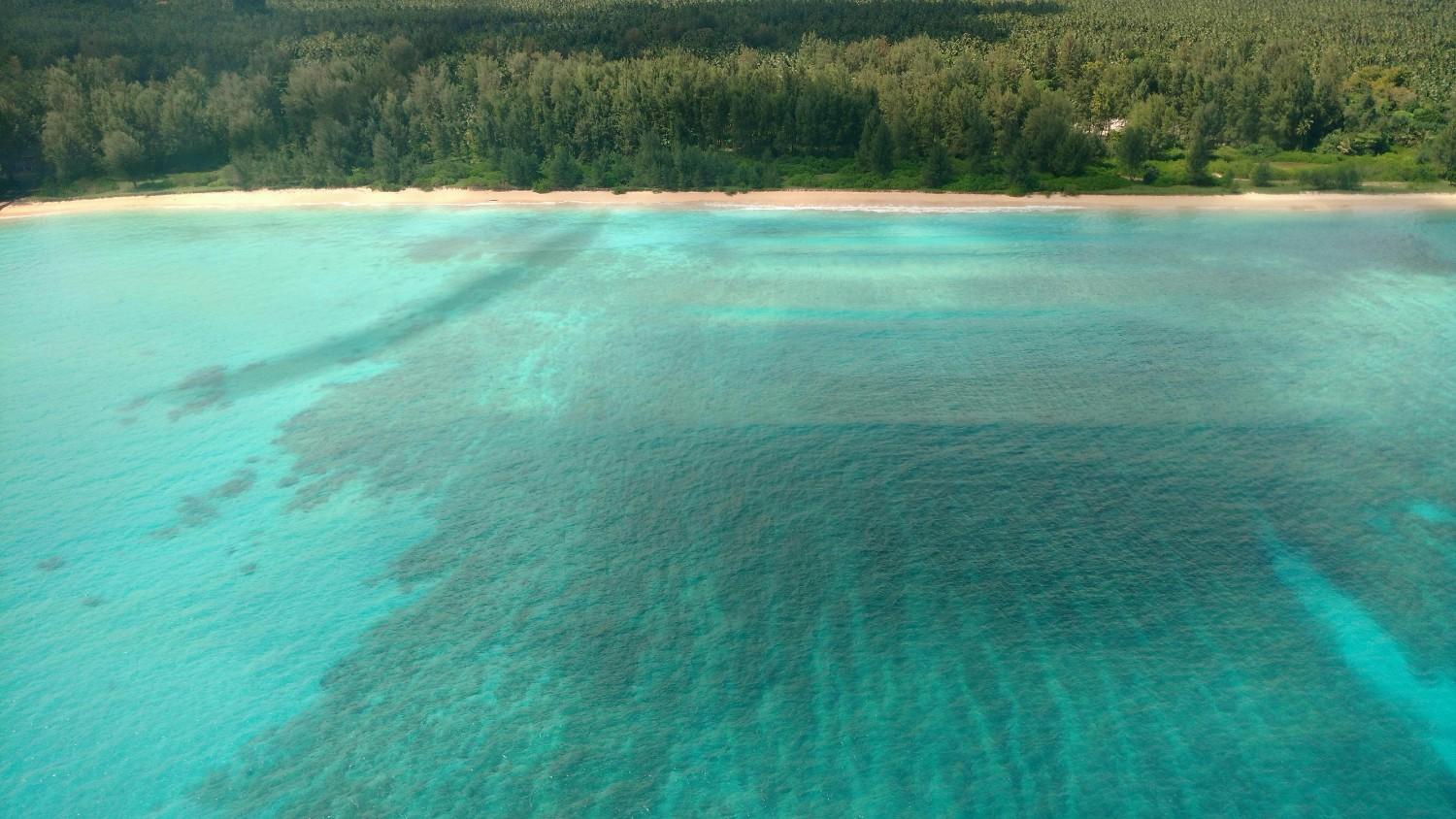A Guide to Andaman and Nicobar Islands Vacation Packages (2025)