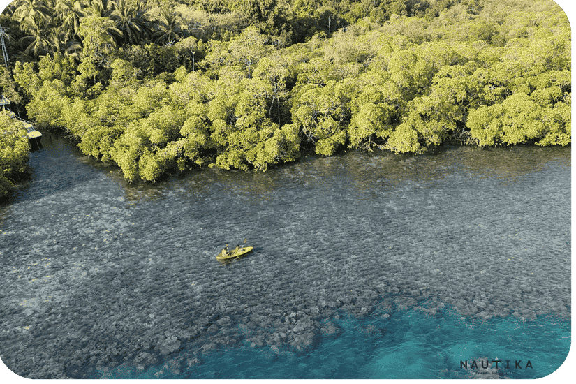 Best Water Sports in Andaman Islands: The Ultimate 2026 Adventure Guide