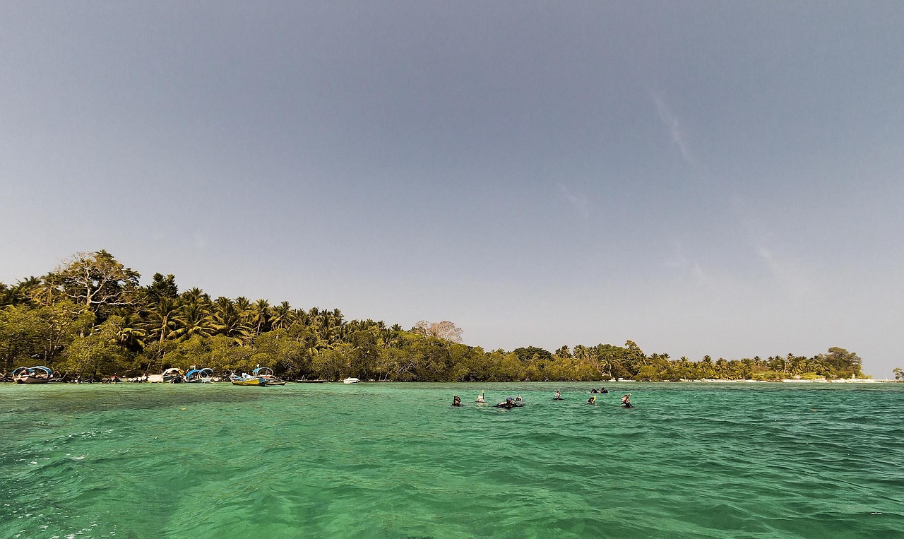 Best Time to Visit Andaman Islands (2025): A Month-by-Month Guide
