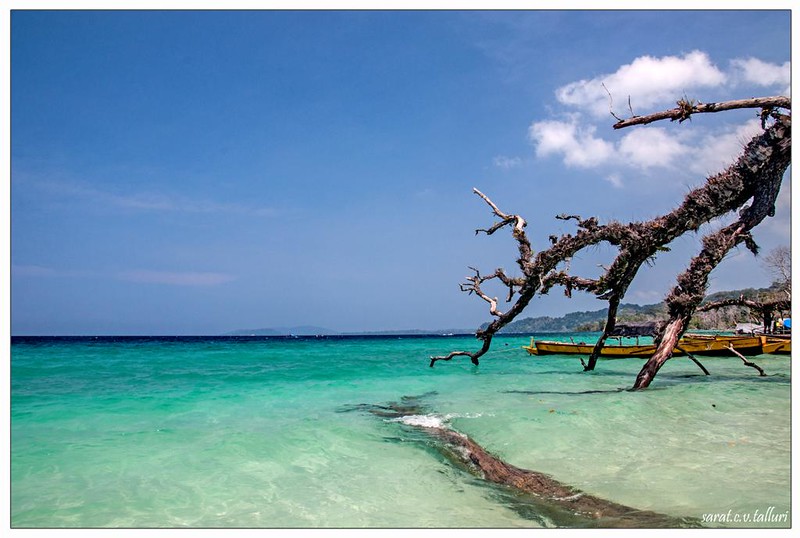 Which is Better: Havelock or Neil Island?