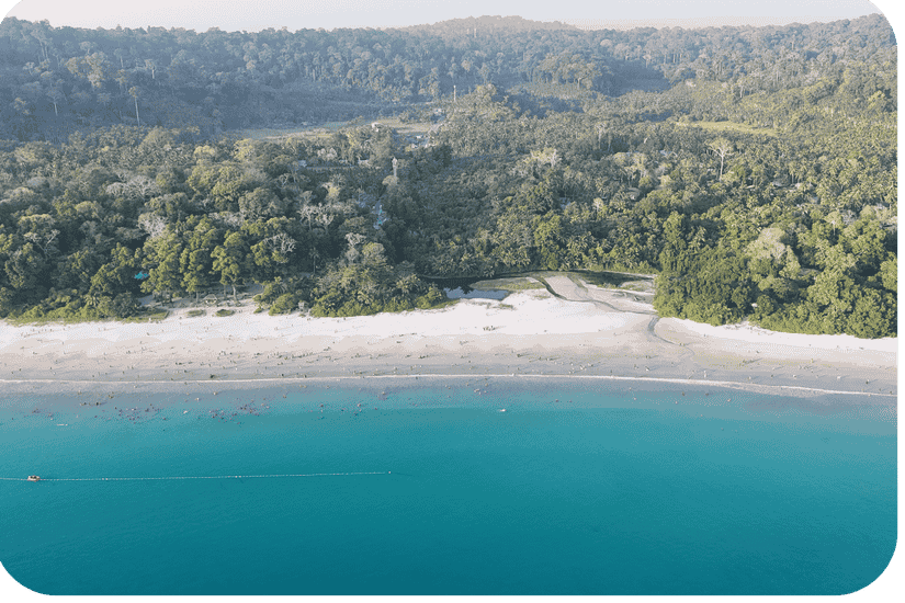 Havelock to Neil Island Ferry Guide: The 2026 Inter-Island Manual