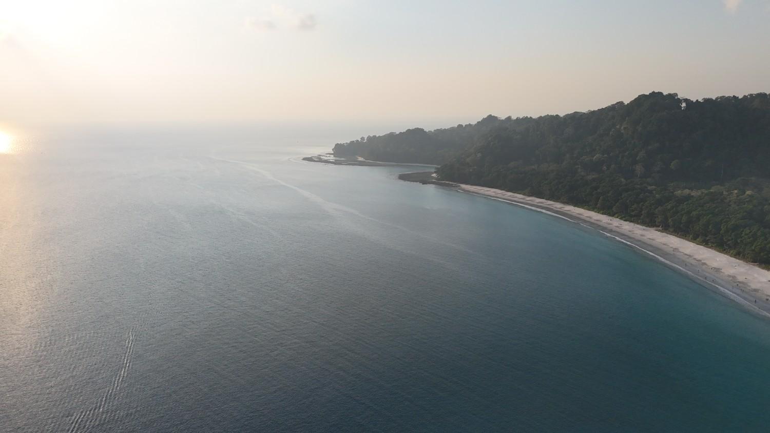 A Guide to Night Trekking in Andaman: Discovering the Islands' Nocturnal Ecosystem (2026)