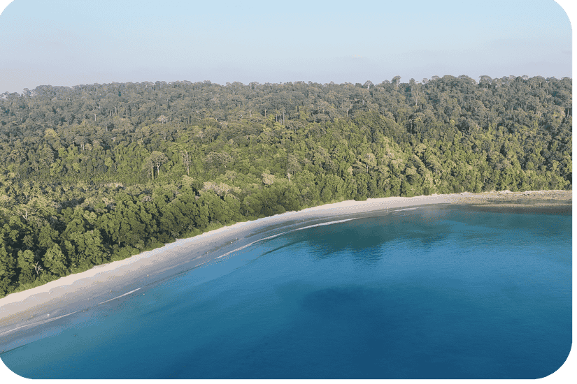 Radhanagar Beach Travel Guide: Discover the Best Beach in Havelock (2026)