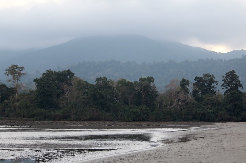 Saddle Peak, Andaman: A Trekker's Guide to the Highest Point (2025)