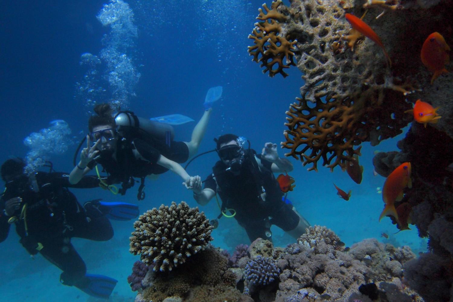 Scuba Diving vs. Sea Walking in Andaman: Which is Right for You? (2025)