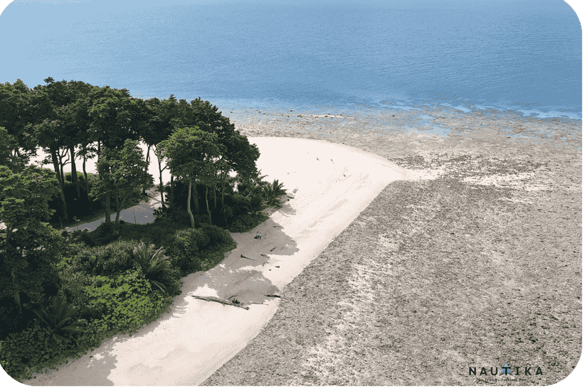 Shaheed Dweep (Neil Island) Travel Guide: Tranquility Pro-Max (2026)