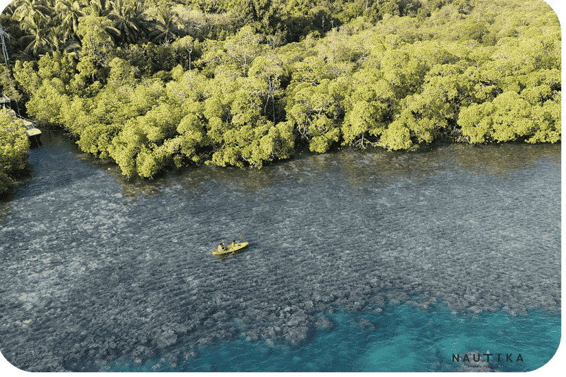 Swaraj Dweep (Havelock Island) Travel Guide: The 2026 Masterclass